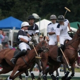 Polo, Commercial Wedding Photographers: Photoscience.co.uk